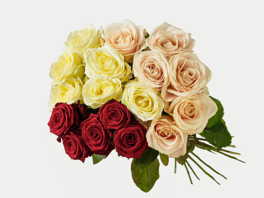 Valkoisia, punaisia ja hennon vaaleanpunaisia isoja ruusuja tiiviissä kimpussa. Hautauspalvelu Kaiho Oy - Hautajaiskukat kuva